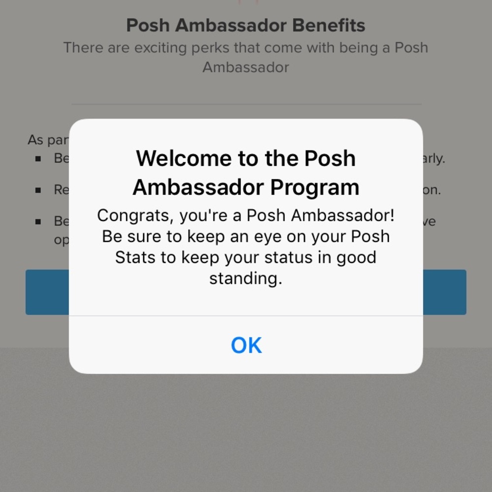 Posh ambassador!